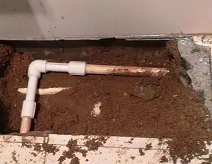 新北测漏水哪家好