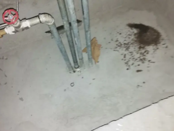 新北卫生间测漏水价格明细