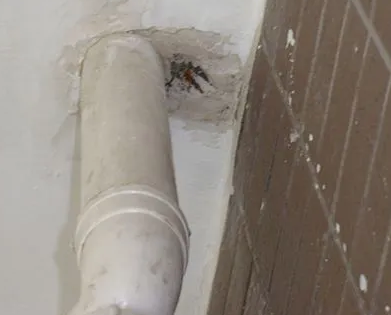 新北漏水检测哪家好